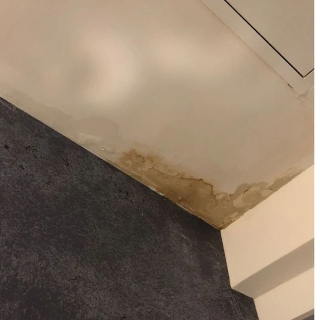 What Should I Do if My Roof Starts Leaking?